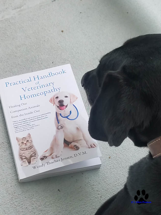Allen Pearson Photography Noah and Practical Handbook of Veterinary Homeopathy1.jpg